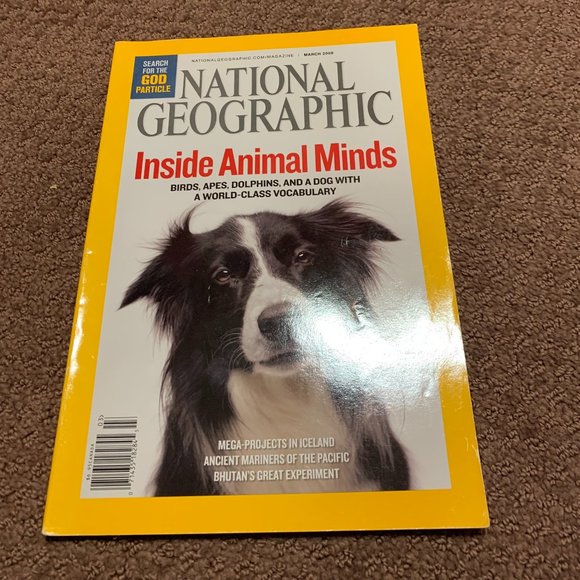 Other - National Geographic Magazine - Inside Animals Minds